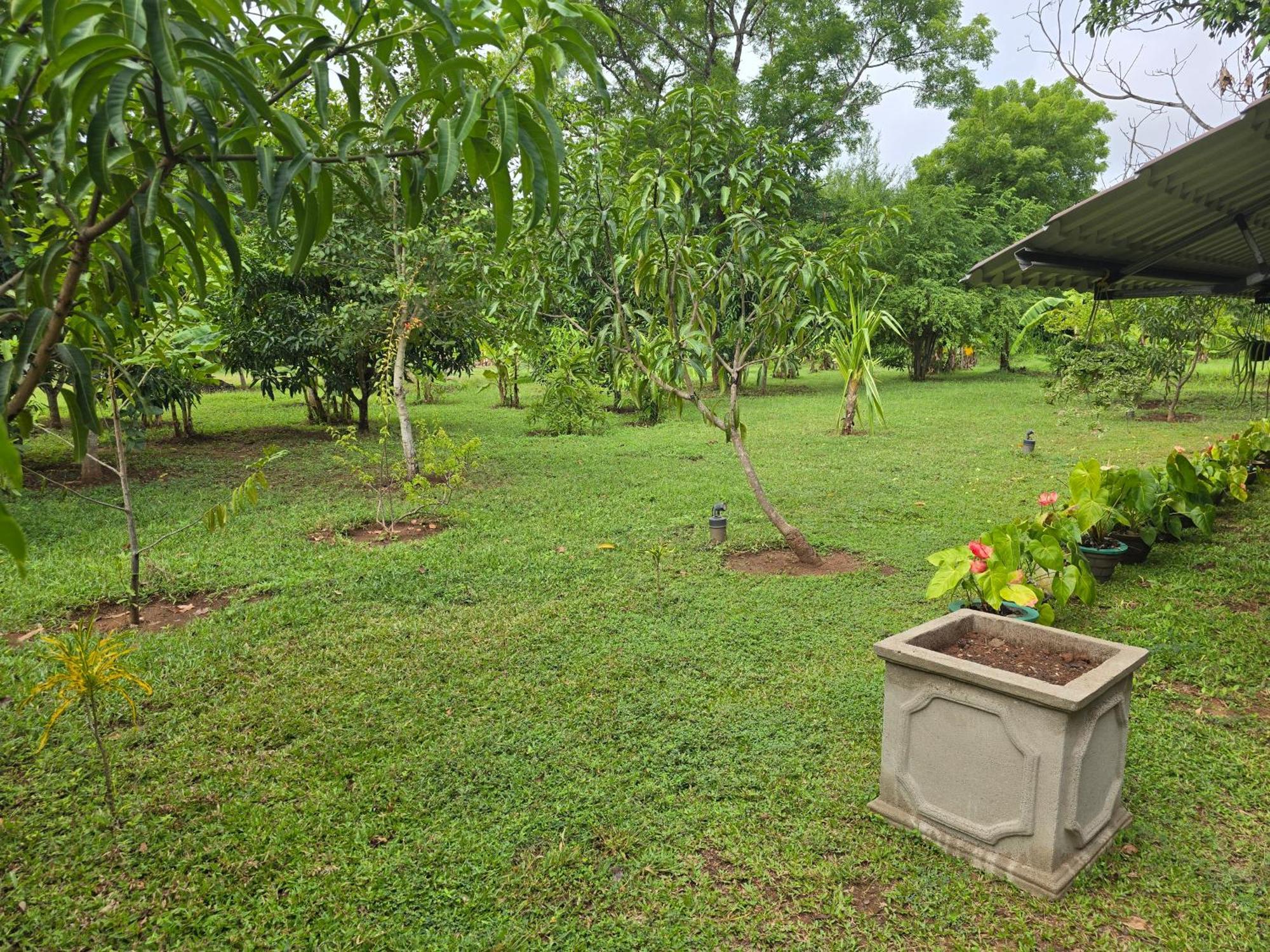 Ceylon Resort Wilpattu Exterior foto